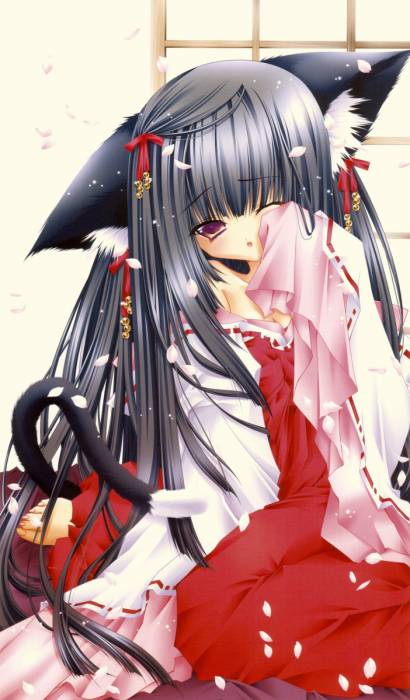 Neko .jpg